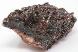 3.9" Ruby Red Vanadinite Crystals on Black Barite - Morocco - #196316-1